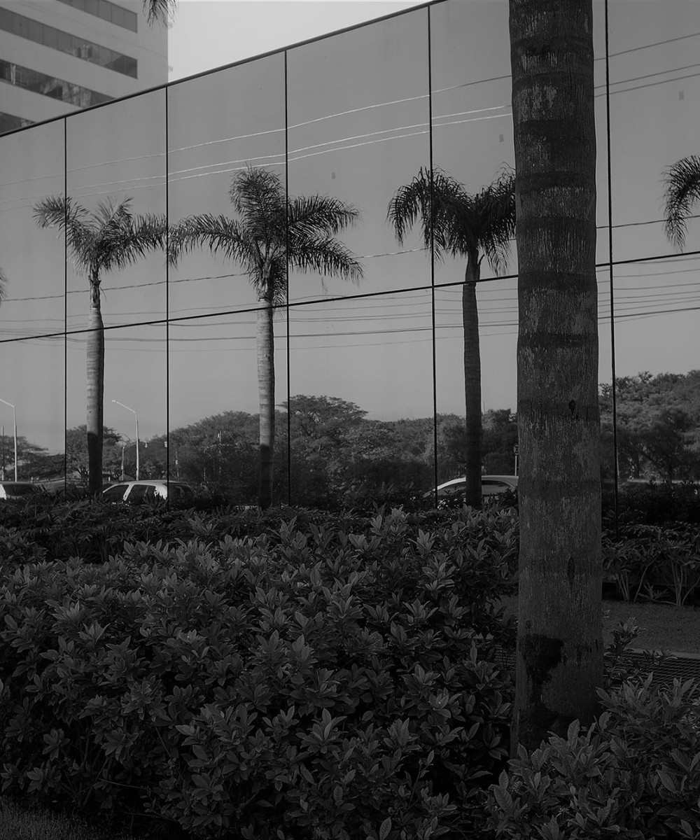 Direito da Infraestrutura